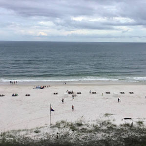 Meet your Posher, Kat